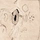 Dibujo de Valderrama de la llamarada solar que observó. Imagen: Vaquero, Sol Phys 2017